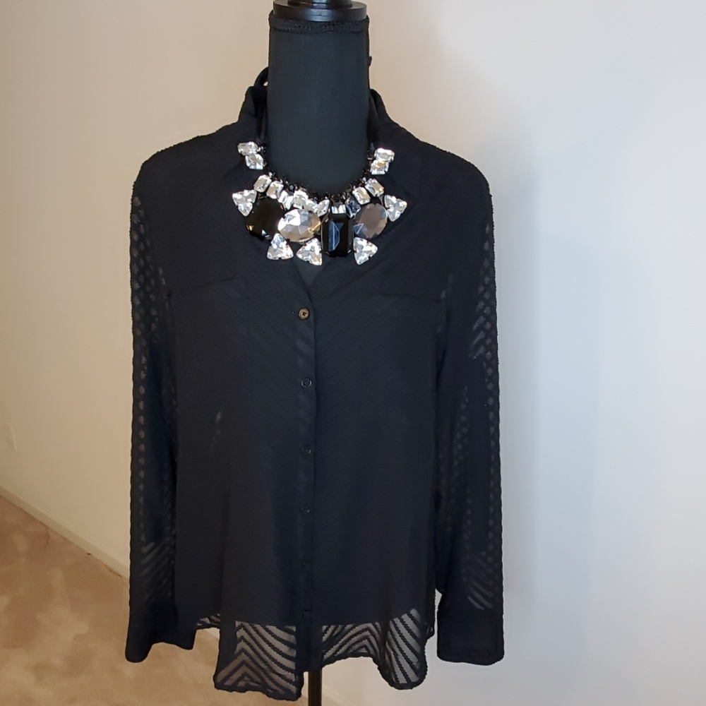 Express sheer button down shirt with pockets